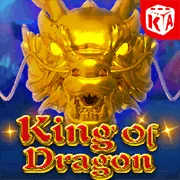 Dịch vụ hỗ trợ khách hàng và bảo mật của wynn09 app