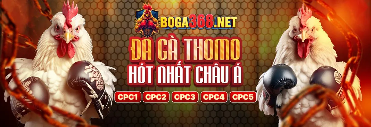 Đá gà trực tuyến Wynn09 App
