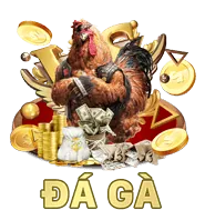 Chính sách quyền riêng tư minh bạch của wynn09 app